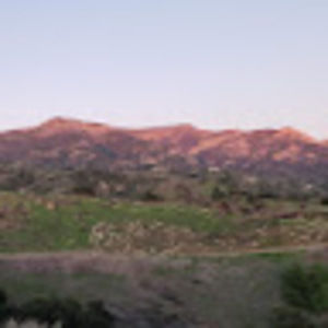 Meet your Posher, Grayson